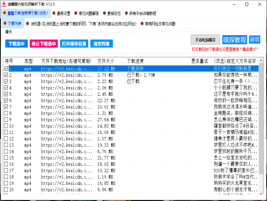 国内版视频解析下载